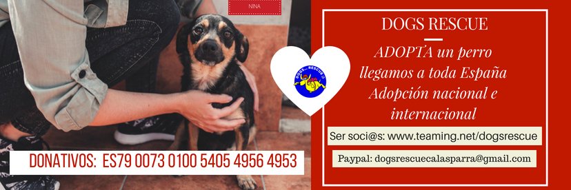 DOGS RESCUE banner