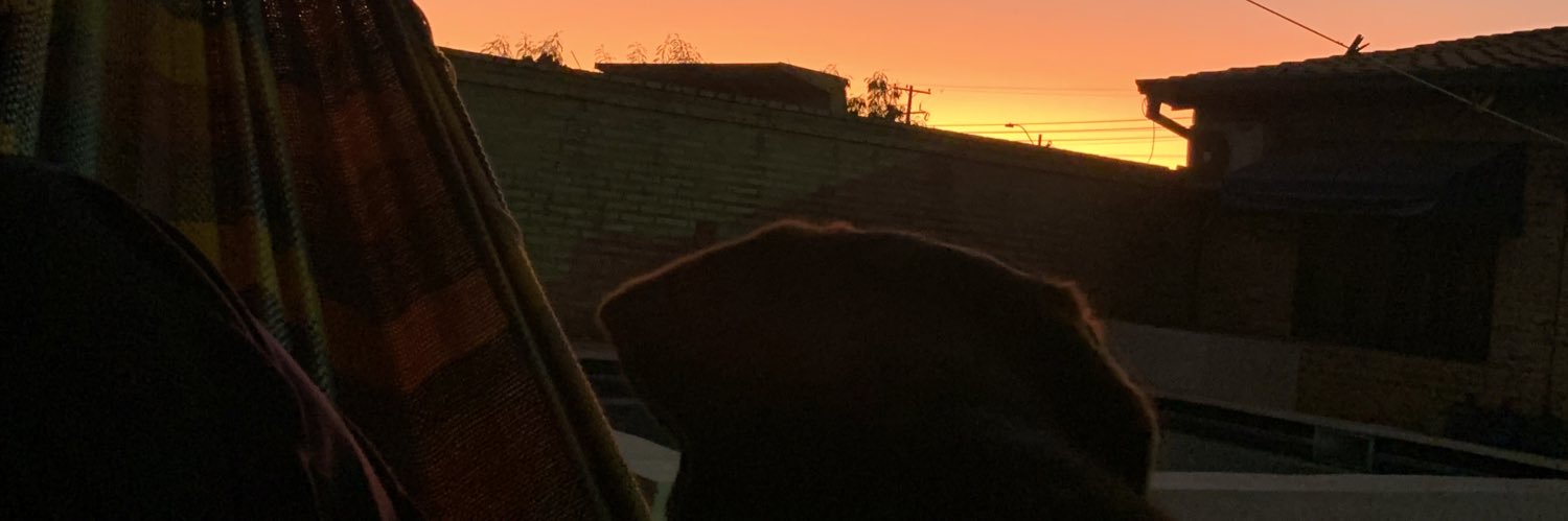 Sofi banner