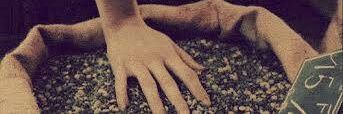 joannapap2's profile banner image