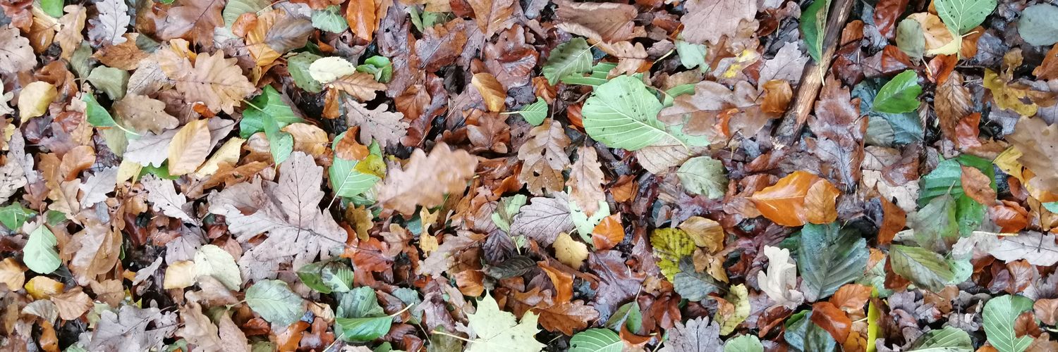 FritzPreusser's profile banner image