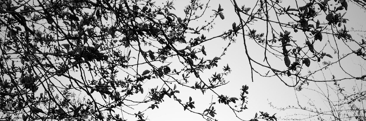 1busesogukoglu's profile banner image