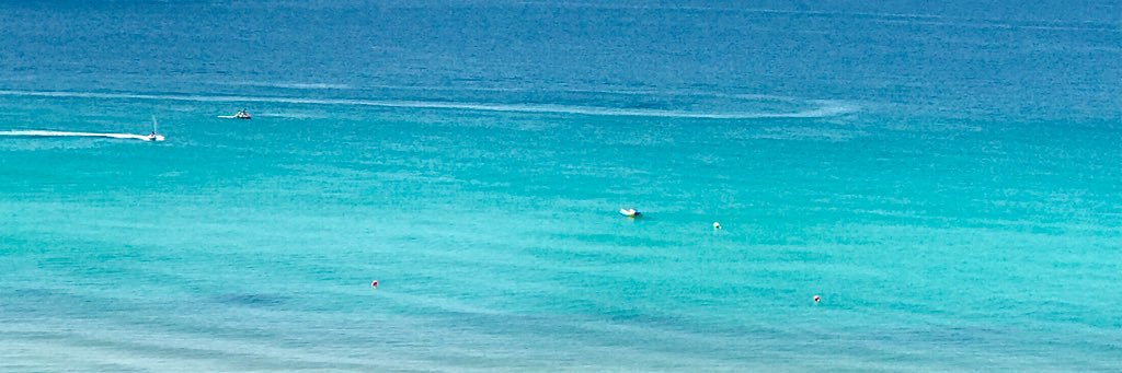 callinitout's profile banner image