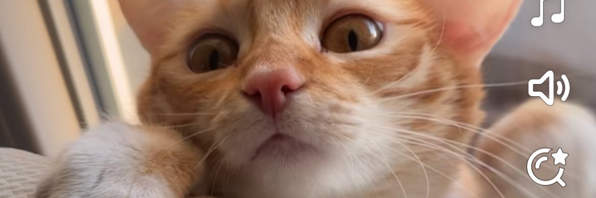 lxuuann's profile banner image