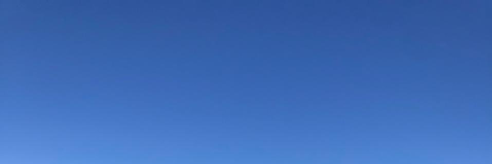 martina banner