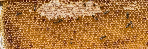 knott_danielle Profile Banner