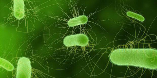 crushsuperbugs's profile banner image
