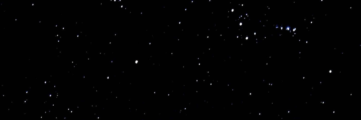 PimpDaddyDoyle's profile banner image