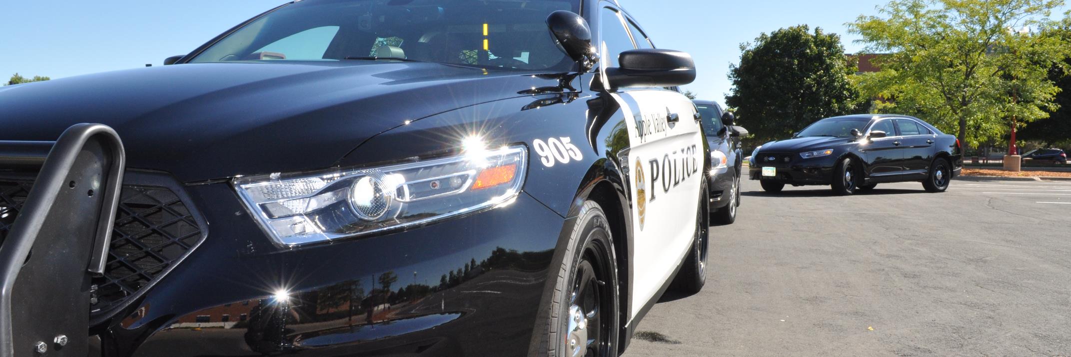 Apple Valley Police banner