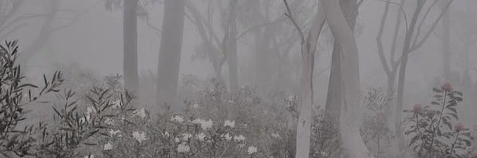 nacht🫐's banner