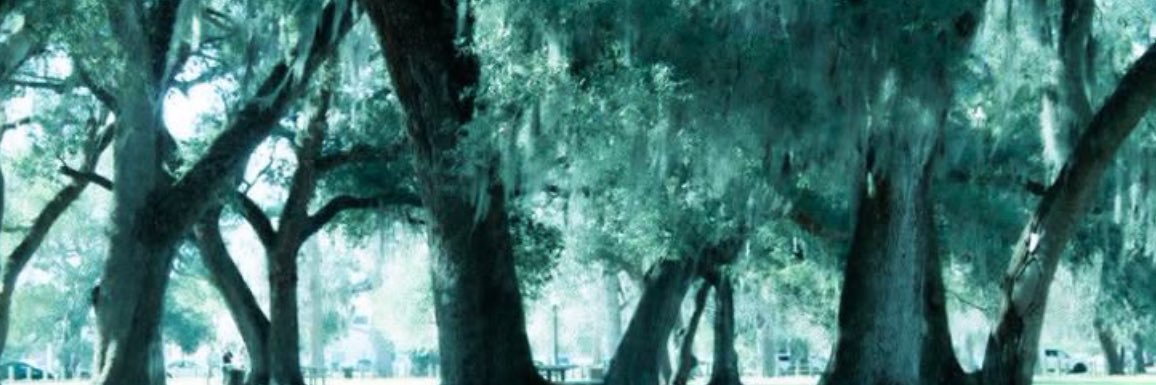 nacht ☾︎𓃠🫐 banner