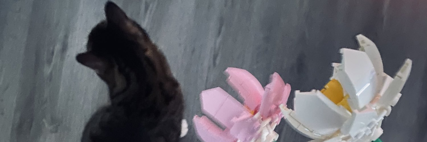 starrrydew's profile banner image