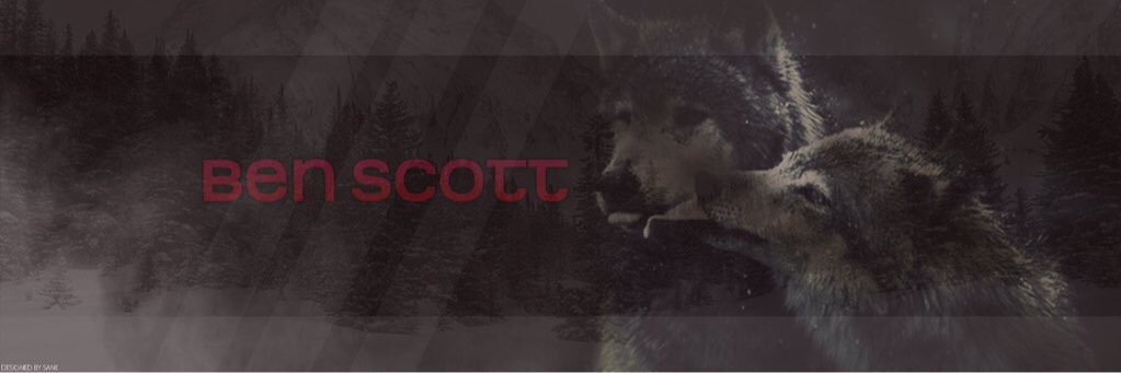 BeardedBenji's profile banner image