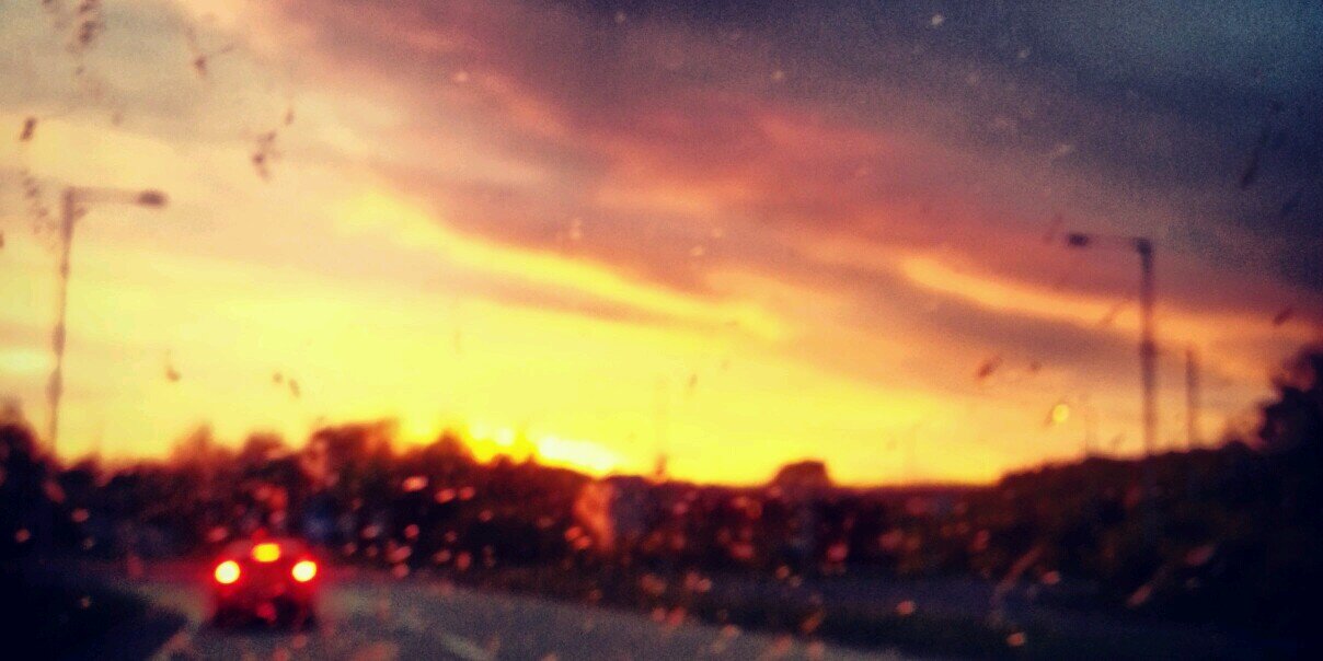 Francesca O'Connor banner