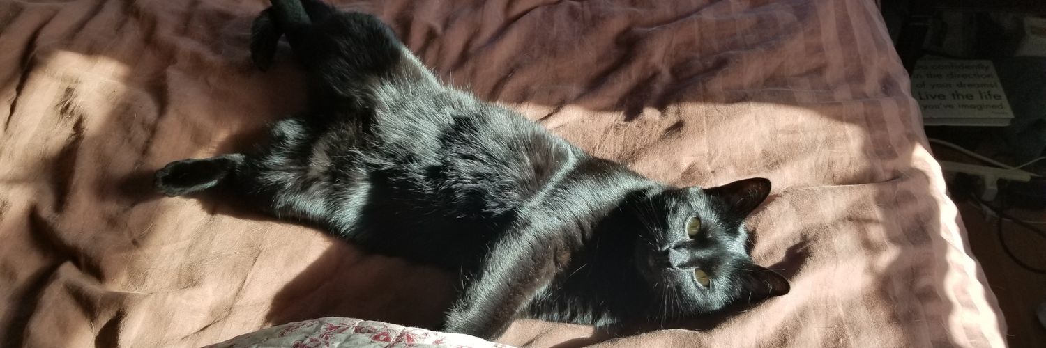 amymc825's profile banner image