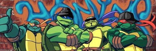 turtlemau5 🐢's banner