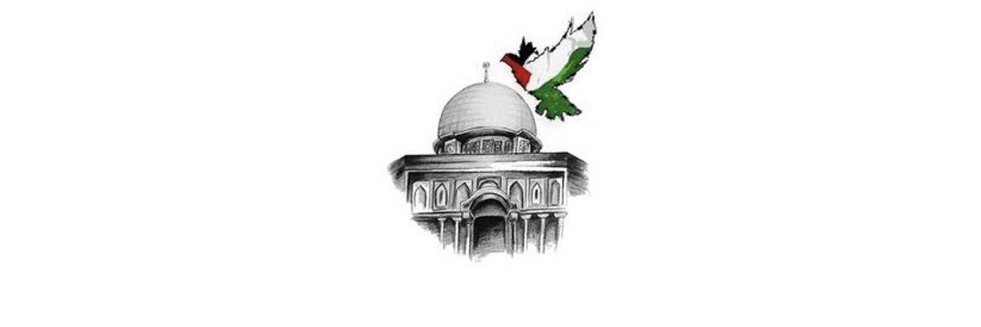 noha31_Ali's profile banner image