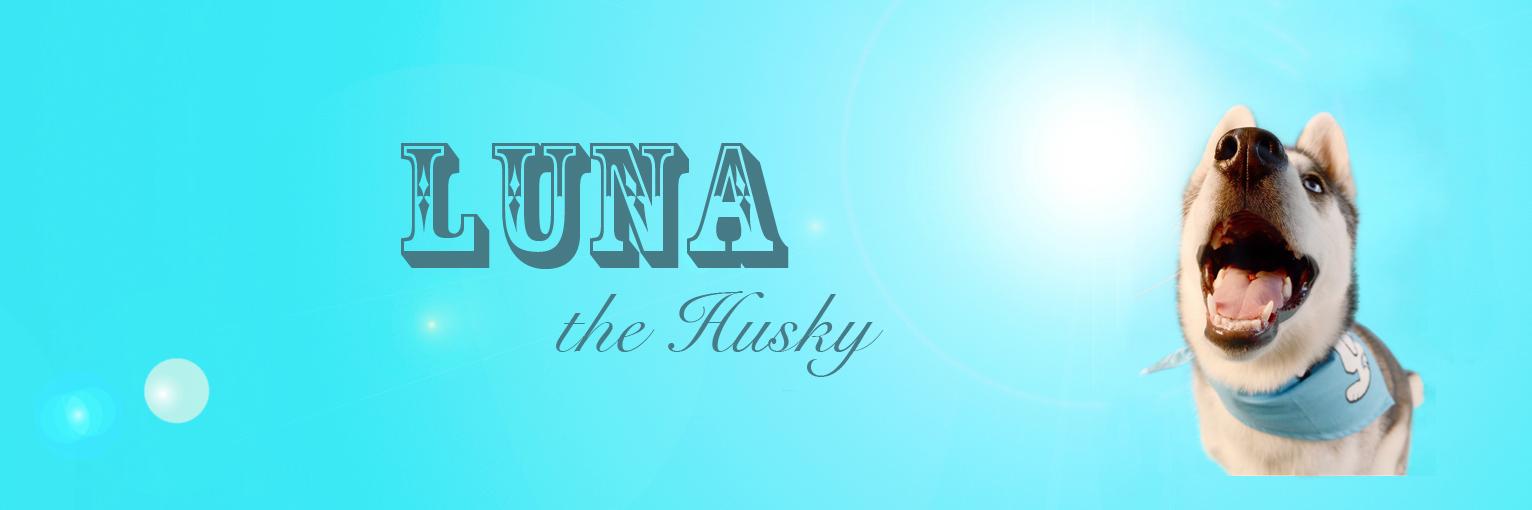LunaticTheHusky's profile banner image