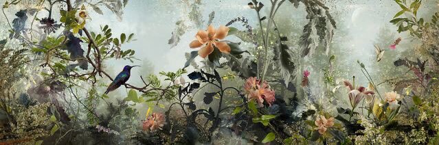 MightBeMeredith's profile banner image
