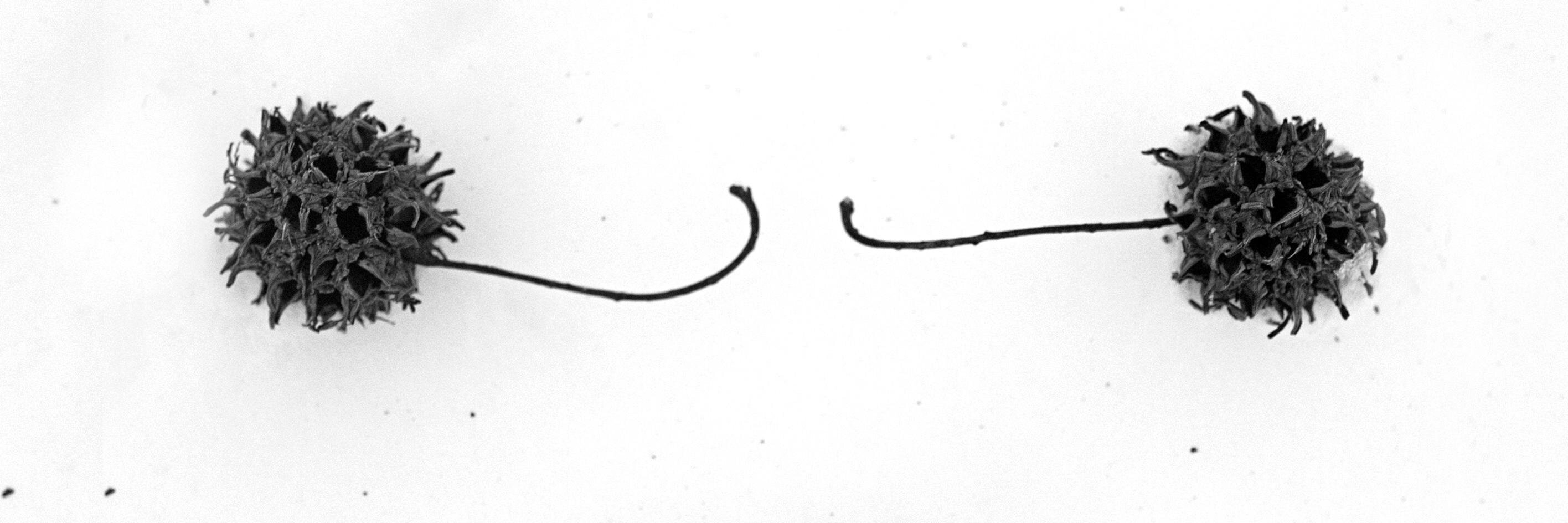 JenniferCabral's profile banner image