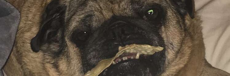 Jordan_Jacobs69's profile banner image