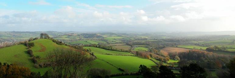 East Devon Greens banner