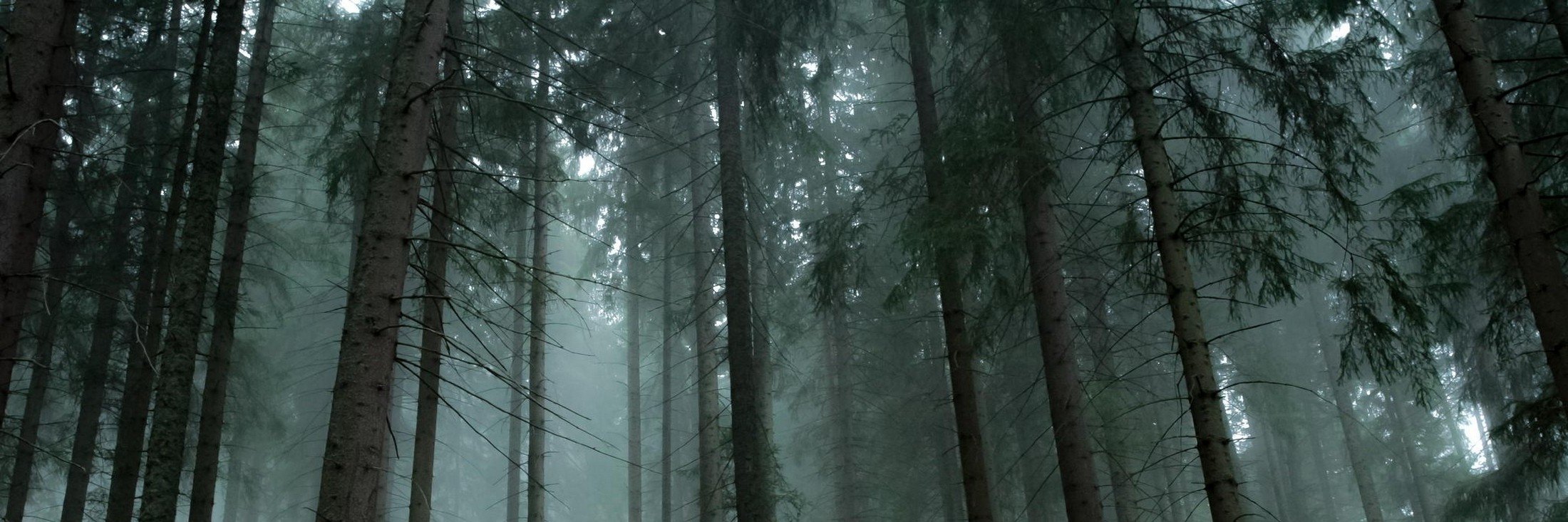 kaiser_cože 皇帝咩話 banner