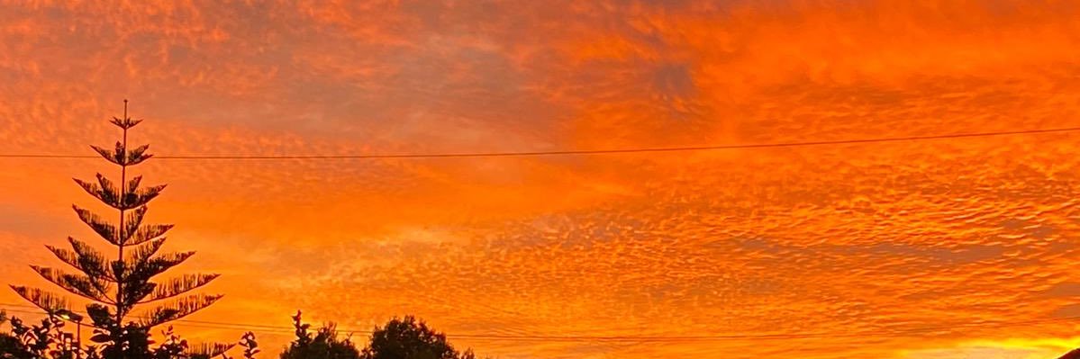 AlvaroSm99's profile banner image