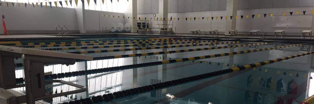 MeteaSwimming's profile banner image