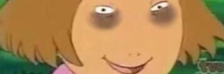 lelilllou's profile banner image