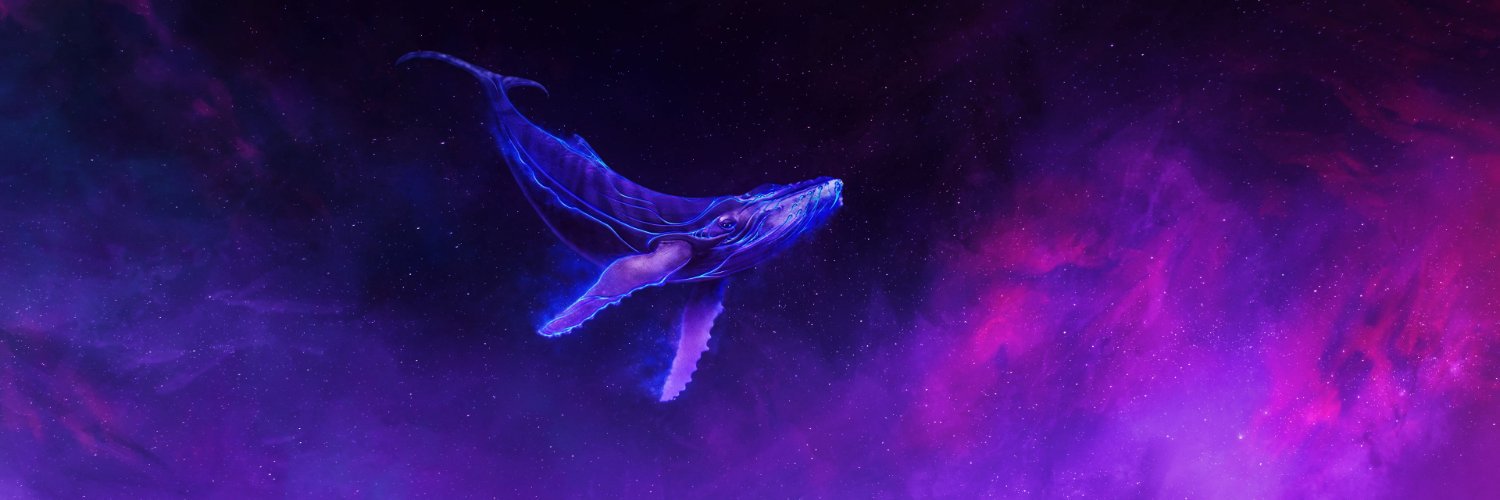 rasmus2612's profile banner image