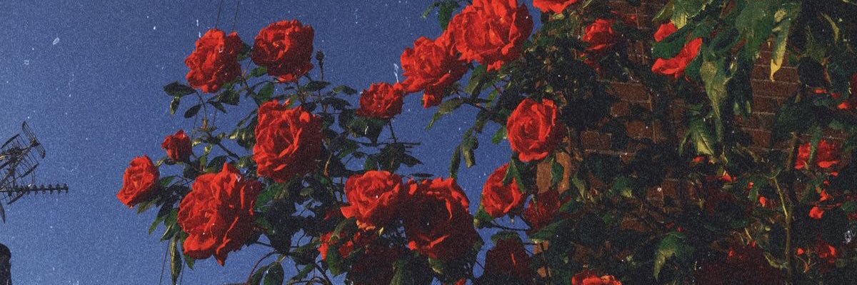 BekaGermainR's profile banner image