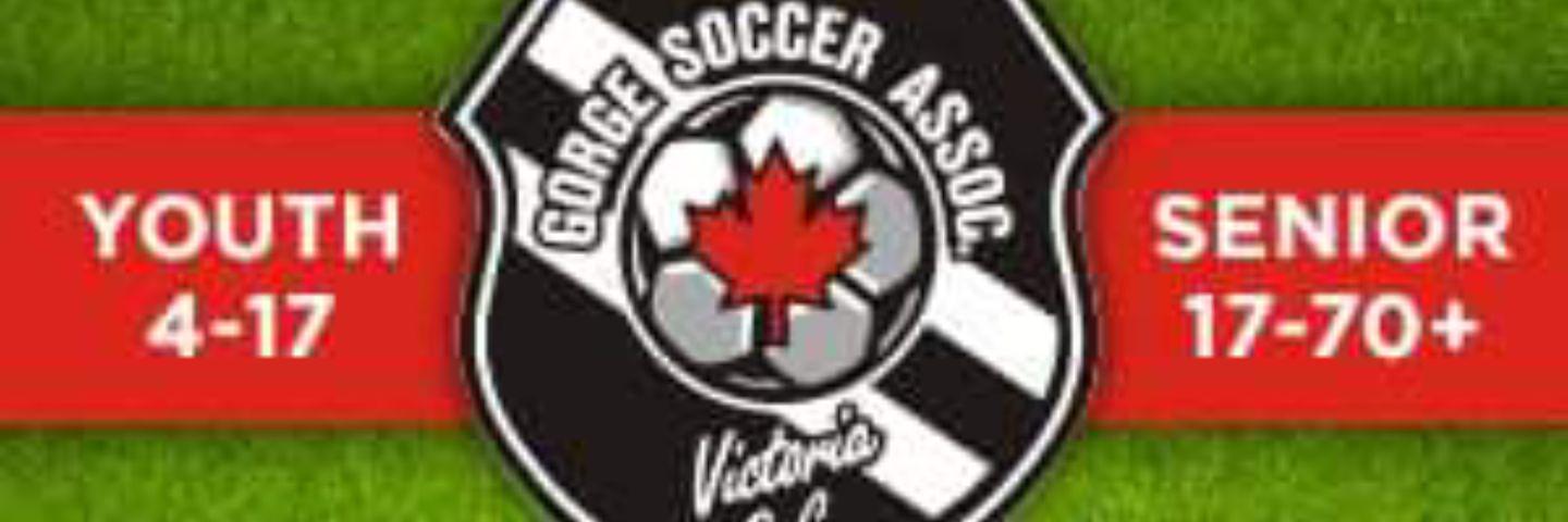 Gorge Soccer banner