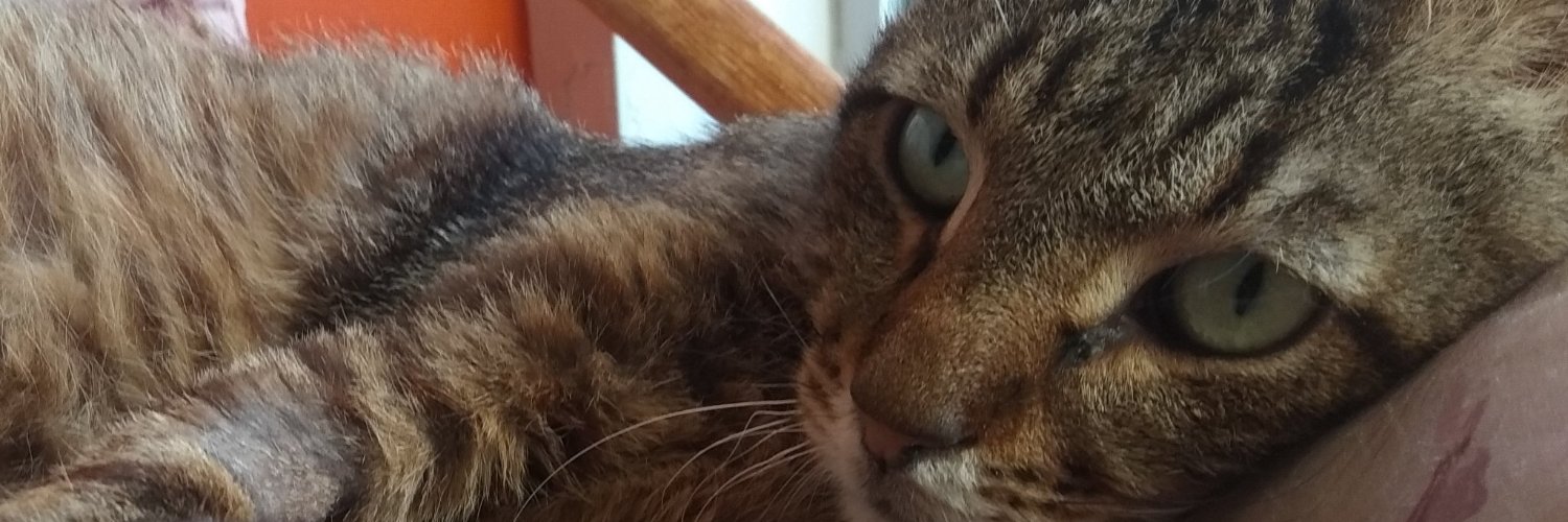 elpidoforanea77's profile banner image