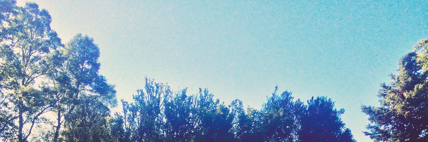 mow_rah's profile banner image