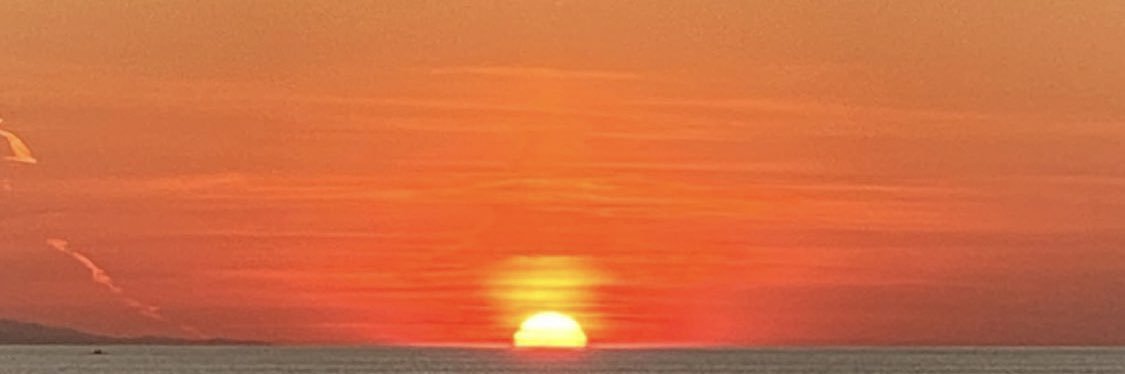 mar_llorcaa's profile banner image