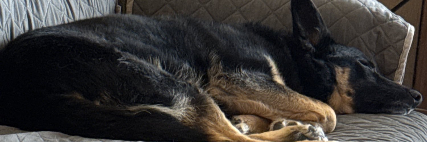 amsadecki68's profile banner image