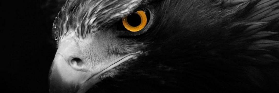 HalilDemir00116's profile banner image