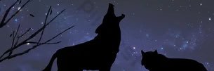 khalidzaree's profile banner image