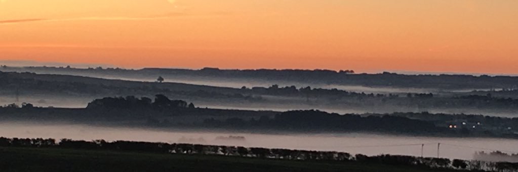markdaly264's profile banner image
