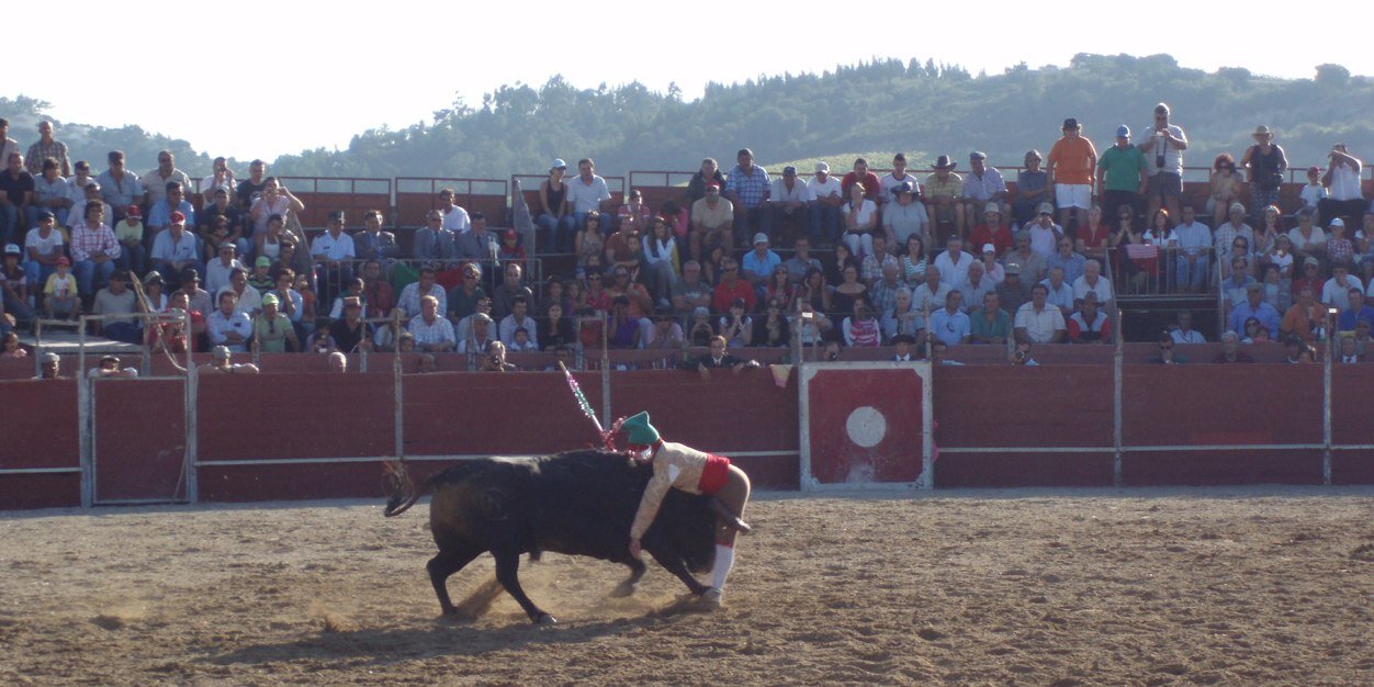 Steve Fletcher banner