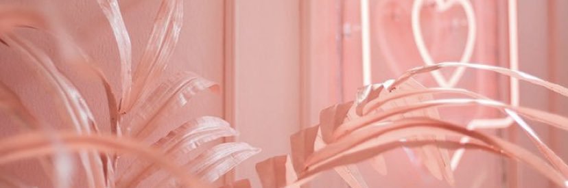 GraceeCr's profile banner image