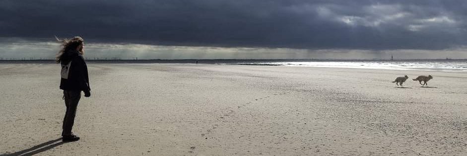 Pad, the Poltergeist banner