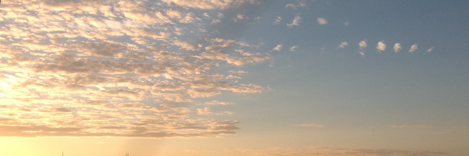 PoohMaple's profile banner image