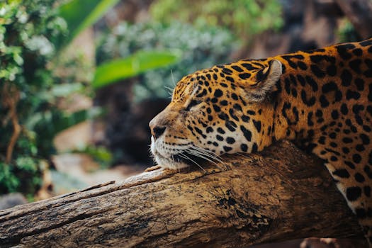 jagaro89's profile banner image