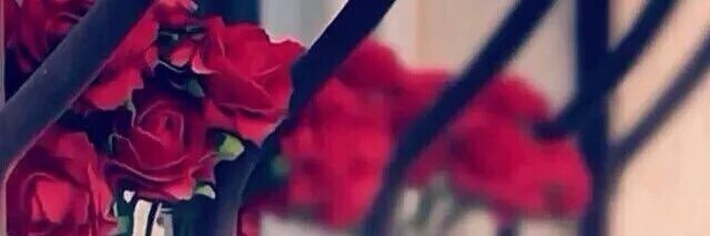 SaharHasan14's profile banner image