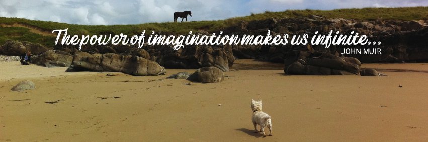 Dr DJ Johnston-Smith banner