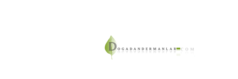 ddermanlar's profile banner image