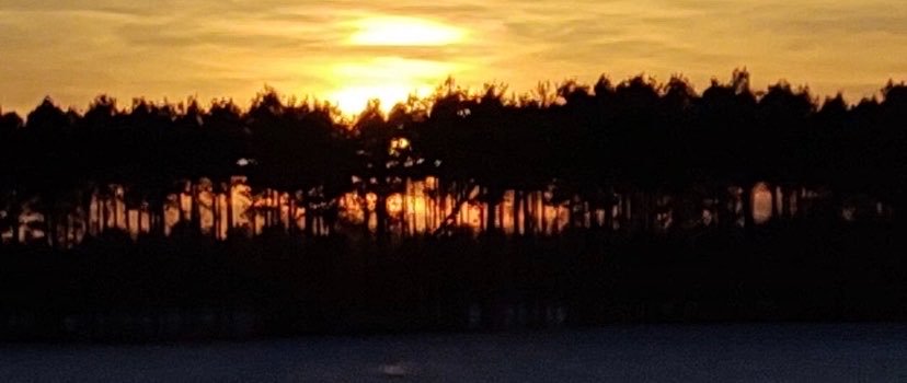 Ripboys53's profile banner image