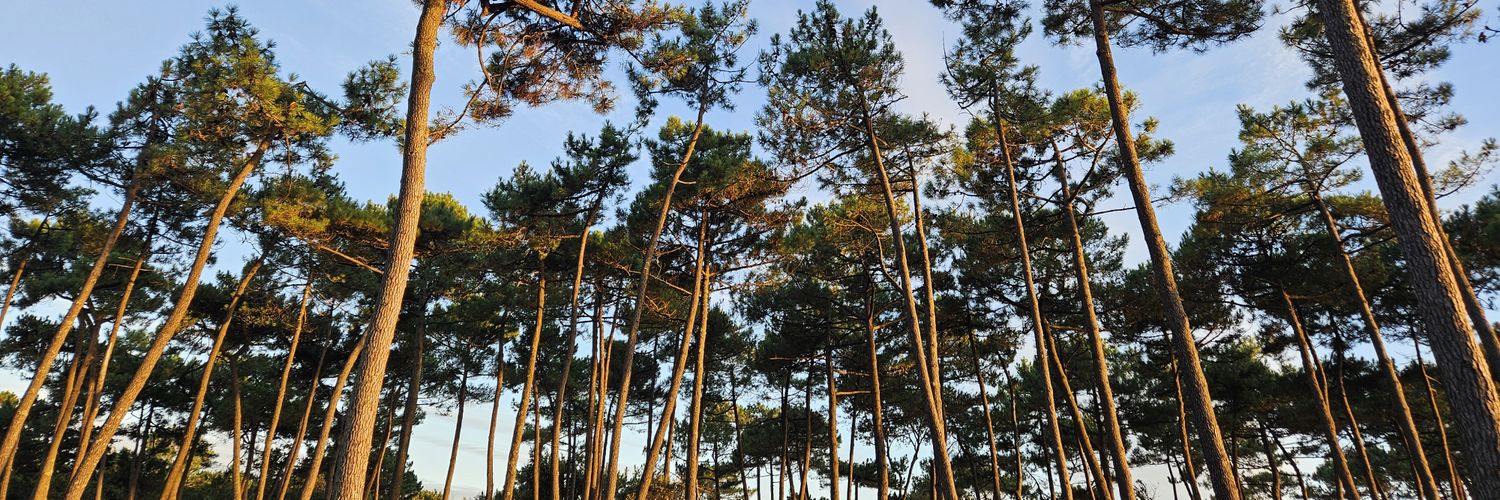 🔴19 Joris Zoet 13⚪️ banner