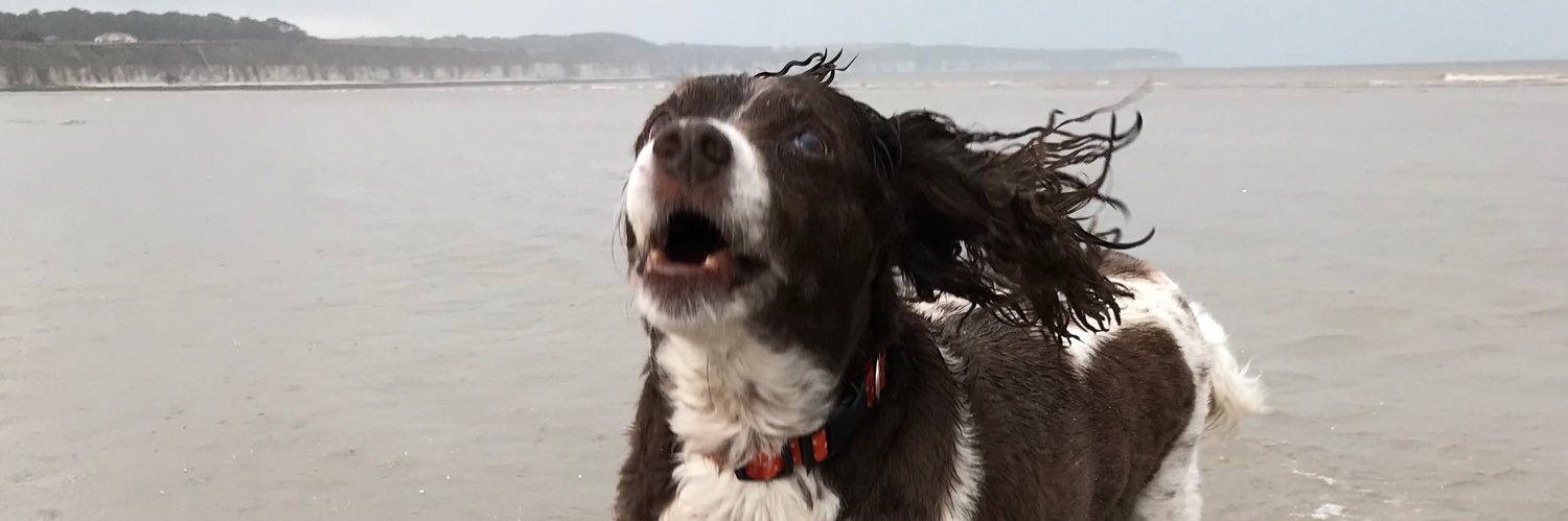 Tammy & Milo (🌈Dat Poppy Bwown Eyes banner